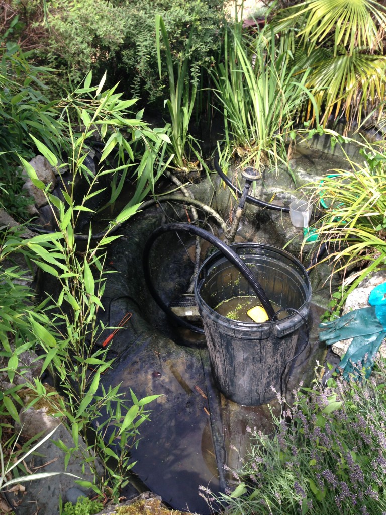 Pond Cleaning Maltby Aquatics Pond & Aquarium Design and Maintenance