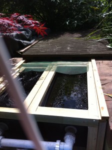 Custom built gravity fed Koi filtration system