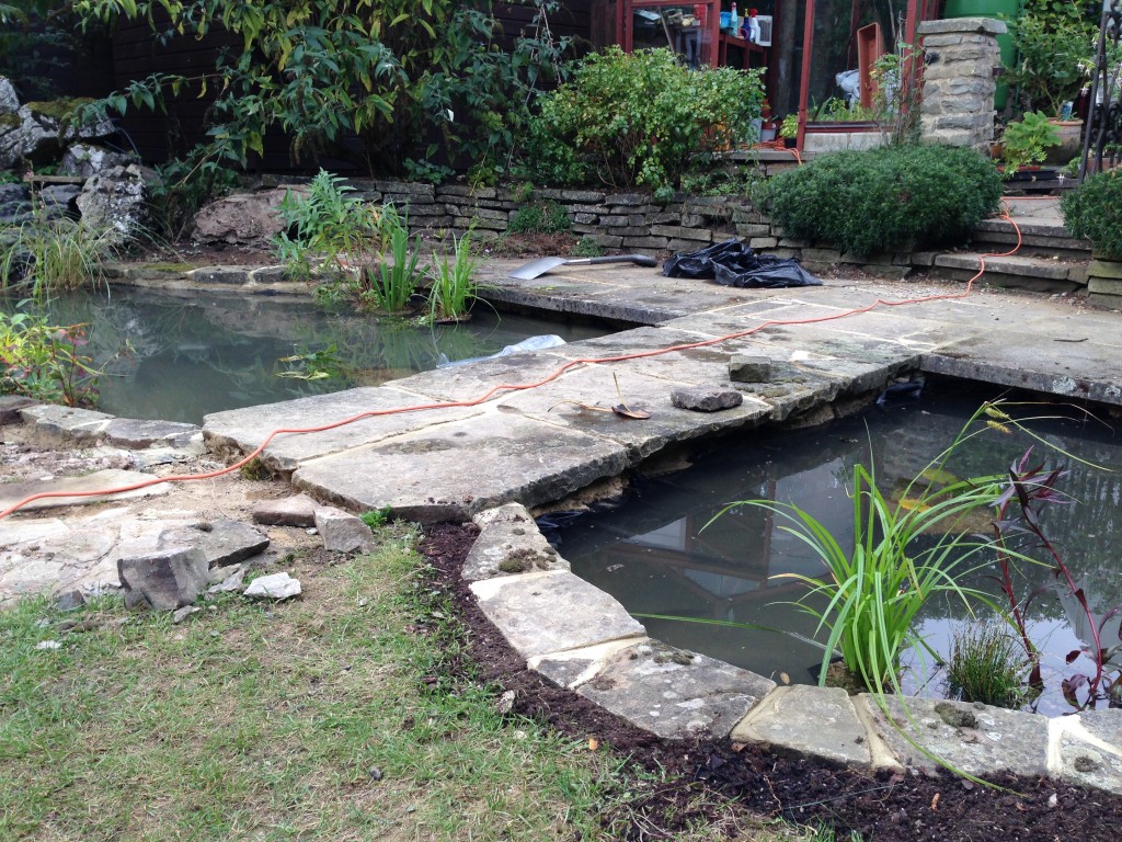 Pond Refurbishment Maltby Aquatics Pond & Aquarium Design and Maintenance