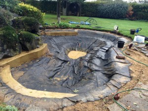 Dave Pond Removing last gravel from pond