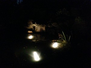 Pond lights