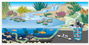 Oase filter diagram