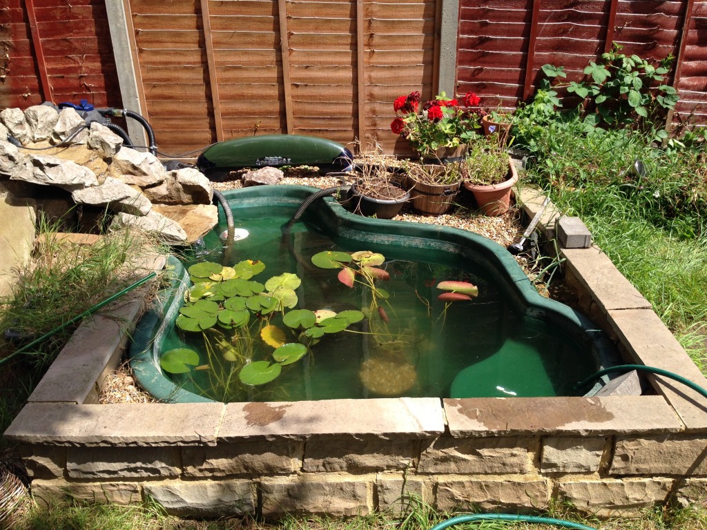 Pond Cleaning Watford Hertfordshire Maltby Aquatics Pond & Aquarium
