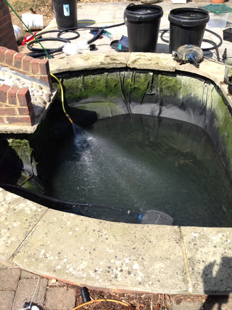 Pond Cleaning, Pond Refurbishment, Luton Bedfordshire Maltby Aquatics Pond & Aquarium Design