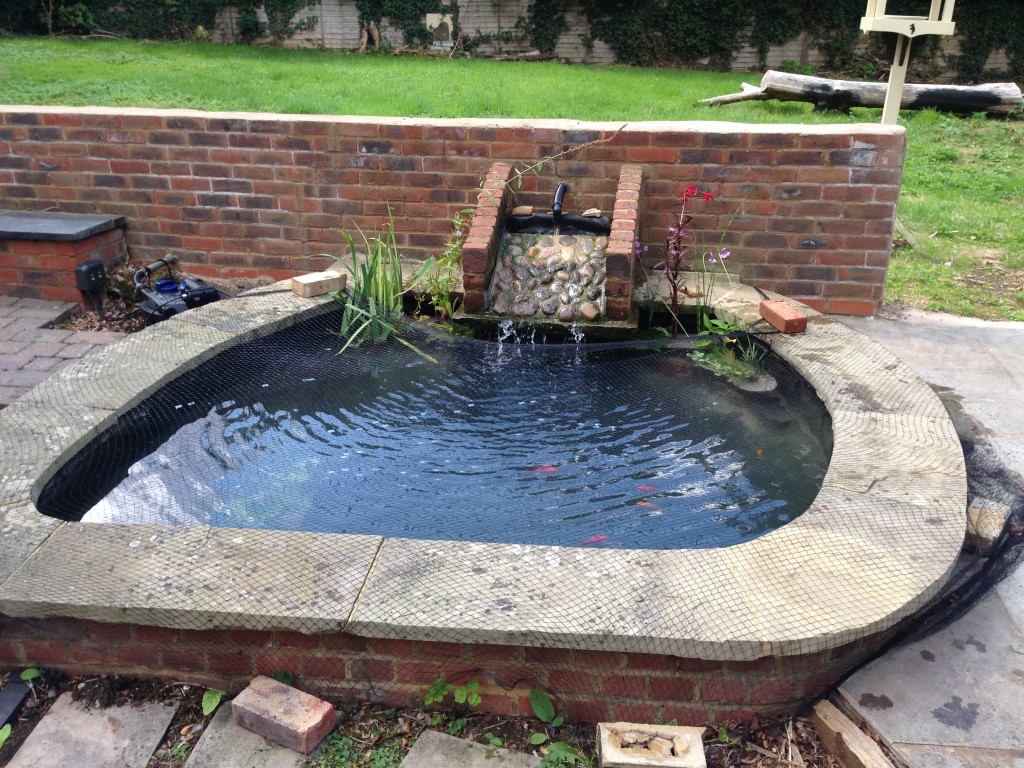 Pond Cleaning, Pond Refurbishment, Luton Bedfordshire Maltby Aquatics Pond & Aquarium Design