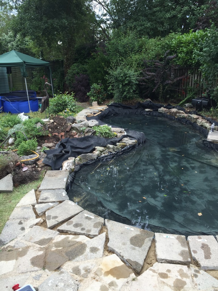 Pond Refurbishment Maltby Aquatics Pond & Aquarium Design and Maintenance