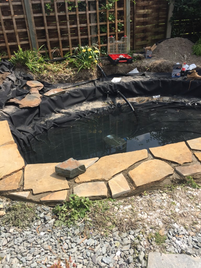 Pond Refurbishment Maltby Aquatics Pond & Aquarium Design and Maintenance