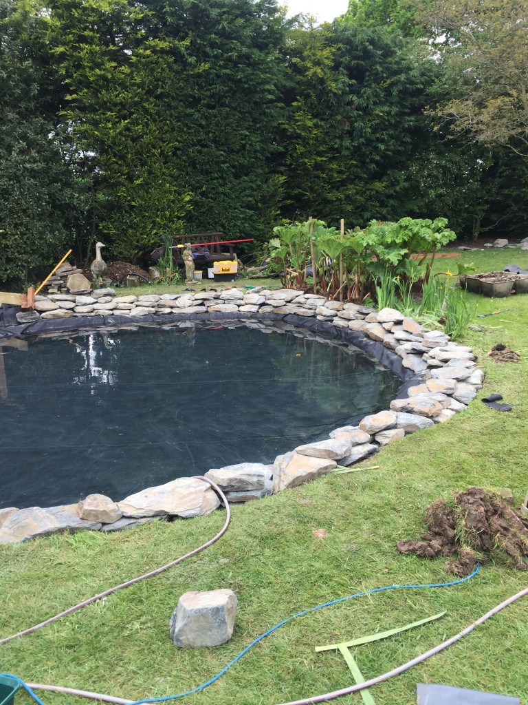 Pond Refurbishment Maltby Aquatics Pond & Aquarium Design and Maintenance