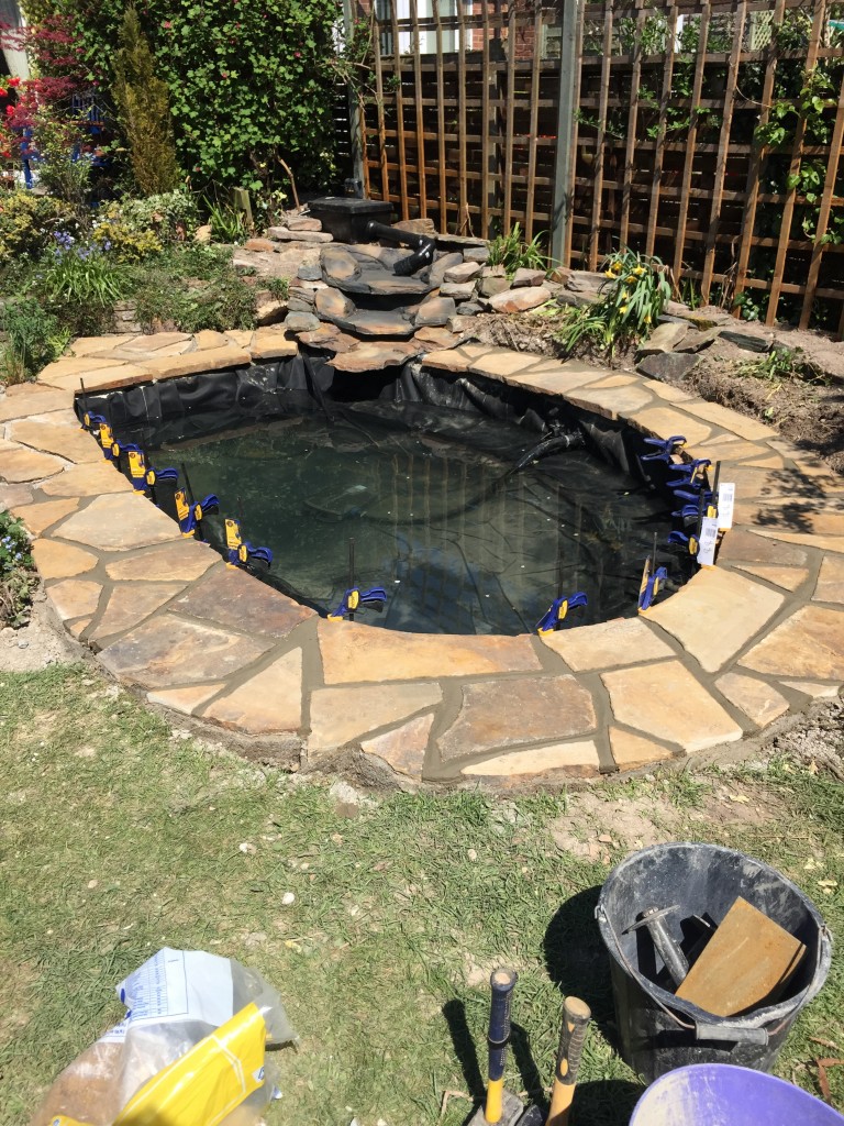Pond Refurbishment Maltby Aquatics Pond & Aquarium Design and Maintenance
